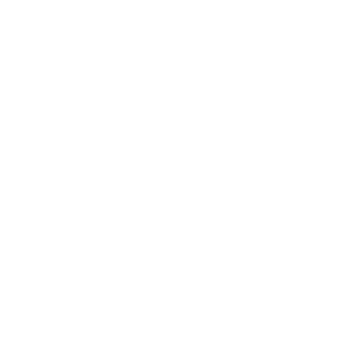 telefono icon