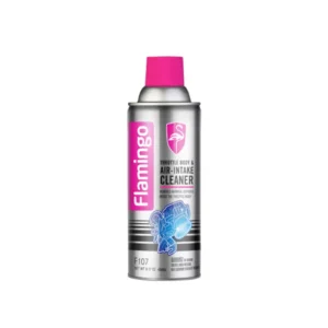 FLAMINGO THROTTLE BODY & AIR-INTAKE CLEANER